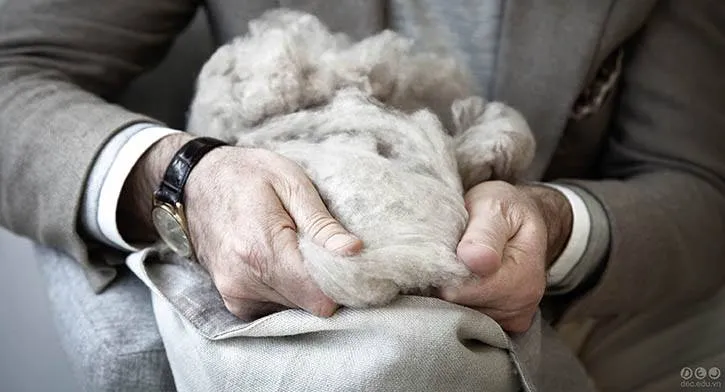 Vải baby cashmere vua của các loại len