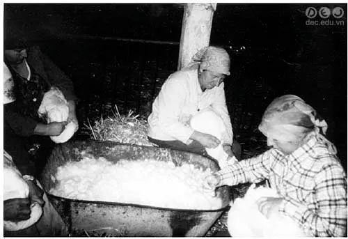 chat-lieu-long-vu 1_zps0v8dx1wj.jpg