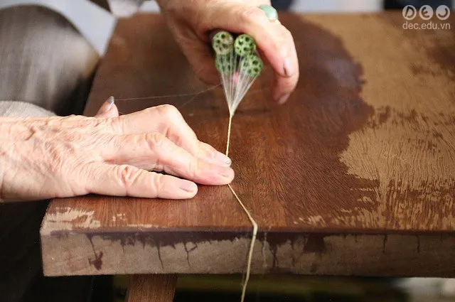 det-lua-to-sen 2_zpszspzanla.jpg