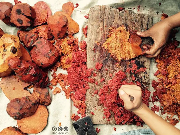 thoi-trang-ben-vung 5_zpspz74znmu.jpg