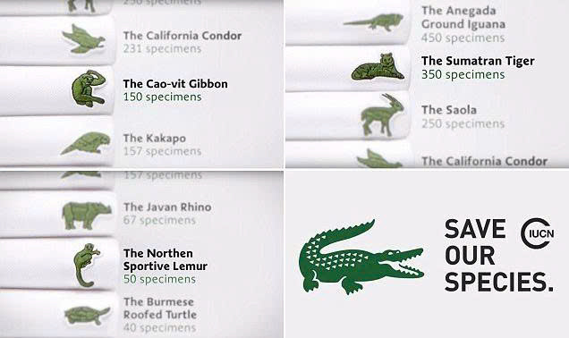 lacoste thay đổi logo lacoste thay đổi logo trong dự án bảo tồn động vật hoang dã